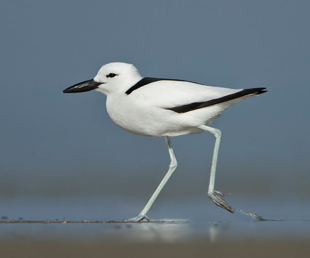 Jamnagar Photography trip blog