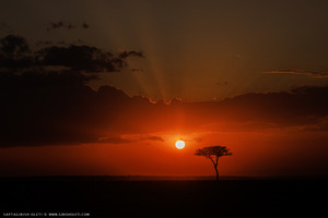 Masai Mara Evening photographed at Masai Mara